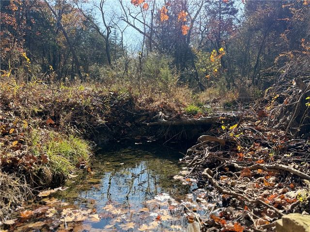 Owens Lane, Peel, AR 72668