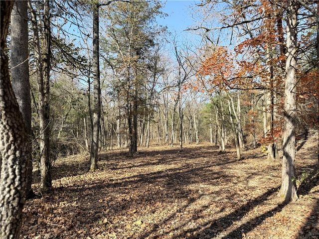 Owens Lane, Peel, AR 72668