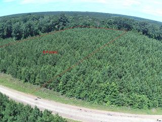 000 PARISH LINE ROAD, Bernice, LA 71277