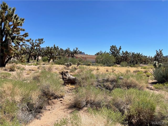 26416 N Apple Drive, Meadview, AZ 86444