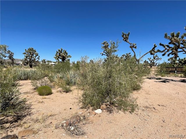 26416 N Apple Drive, Meadview, AZ 86444