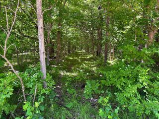 32xxx Smokey Lane, Everts Twp, MN 56515