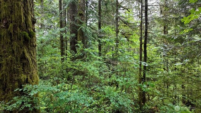 180 Big River Boulevard E, Deming, WA 98244