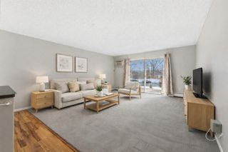 10311 Cedar Lake Road 103, Minnetonka, MN 55305