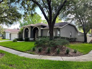 17712 HAMPSHIRE OAK DRIVE, Tampa, FL 33647