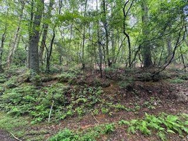 0 Ts Jarrard Rd, Unit TRACT 3, Dahlonega, GA 30533