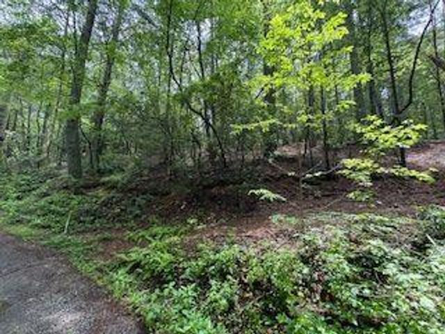 0 Ts Jarrard Rd, Unit TRACT 3, Dahlonega, GA 30533