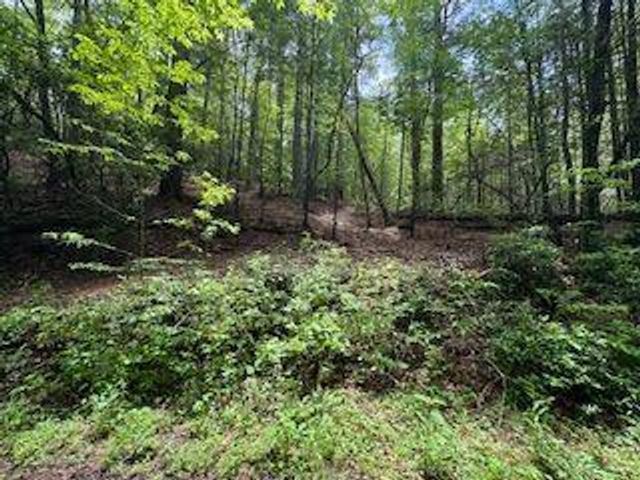 0 Ts Jarrard Rd, Unit TRACT 3, Dahlonega, GA 30533