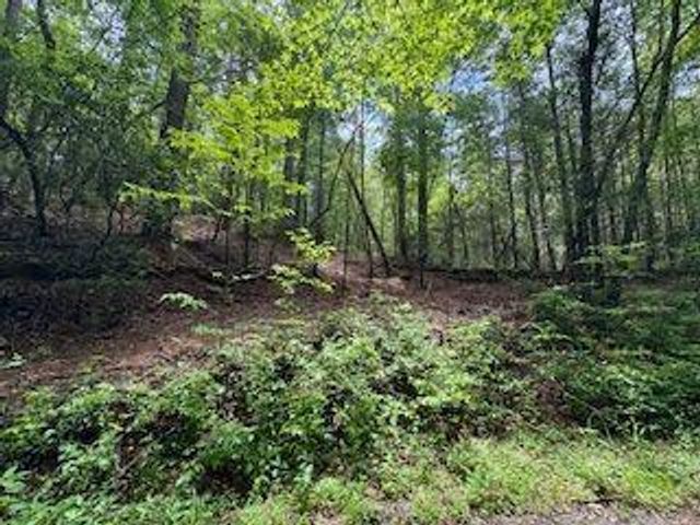 0 Ts Jarrard Rd, Unit TRACT 3, Dahlonega, GA 30533