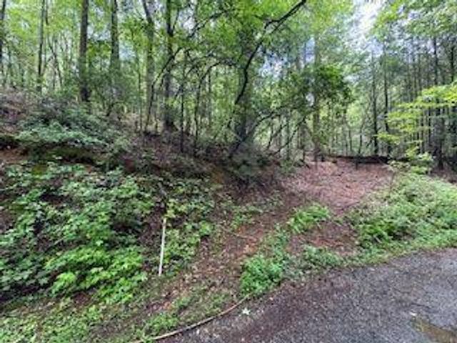 0 Ts Jarrard Rd, Unit TRACT 3, Dahlonega, GA 30533