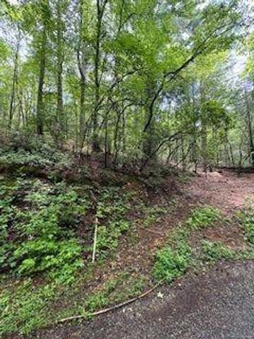 0 Ts Jarrard Rd, Unit TRACT 3, Dahlonega, GA 30533