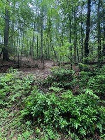 0 Ts Jarrard Rd, Unit TRACT 3, Dahlonega, GA 30533