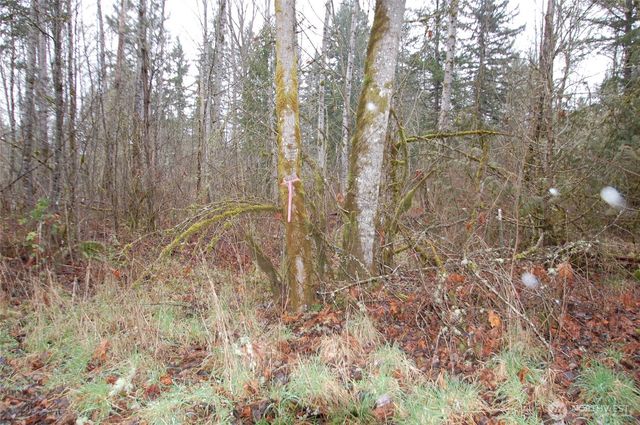 31809 116th Avenue E, Graham, WA 98338
