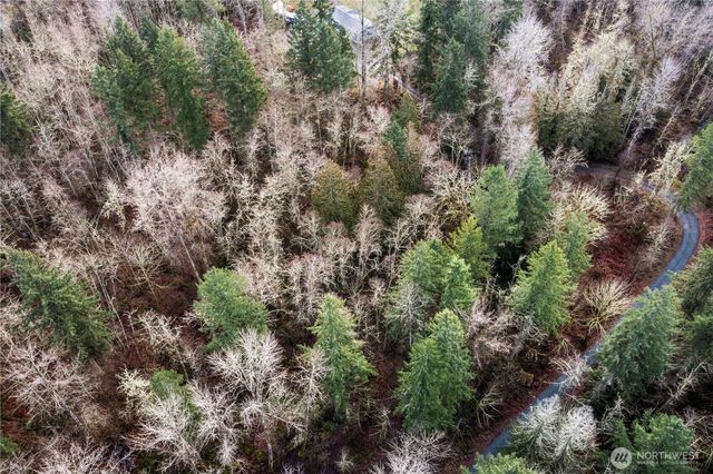 31809 116th Avenue E, Graham, WA 98338