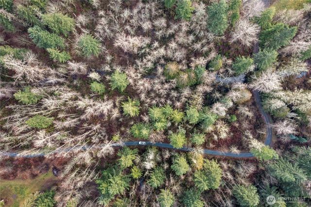 31809 116th Avenue E, Graham, WA 98338