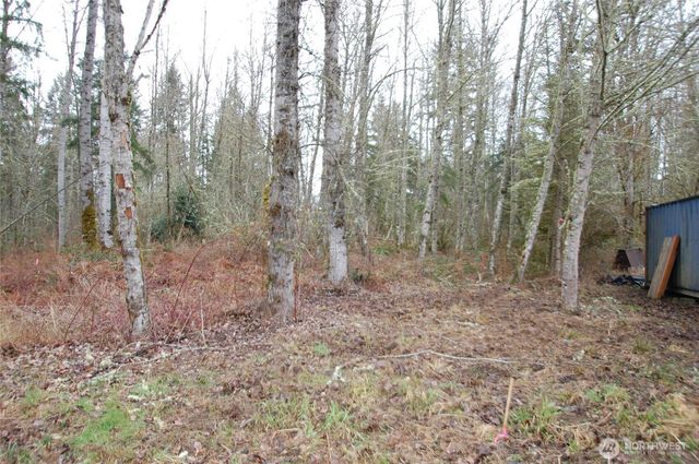 31809 116th Avenue E, Graham, WA 98338