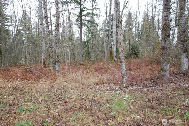 31809 116th Avenue E, Graham, WA 98338