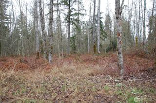 31809 116th Avenue E, Graham, WA 98338
