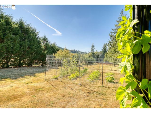 75401 CLATSKANIE VALLEY Dr, Clatskanie, OR 97016