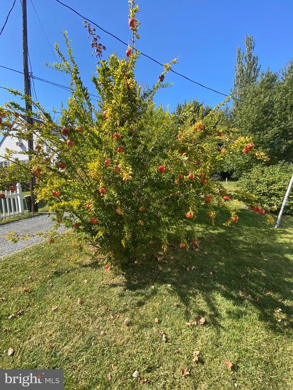 Image 27 of property listing at 20805 SEVERN RD, Ewell, MD 21824
