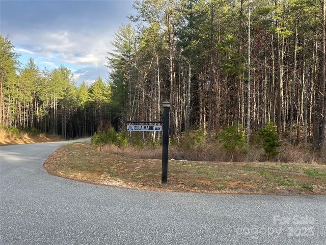 3426 Ella Marie Way 62, Nebo, NC 28761