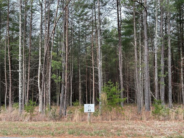 3426 Ella Marie Way 62, Nebo, NC 28761