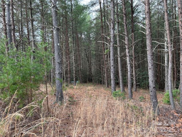 3426 Ella Marie Way 62, Nebo, NC 28761