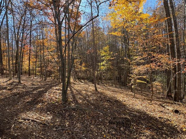 9 Richmond Highway, Amherst, VA 24521