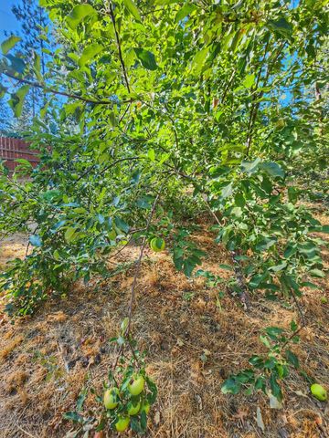 3221 Brauer Rd, Georgetown, CA 95634