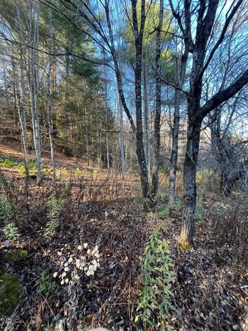 191 Shady Rill Road, Middlesex, VT 05602