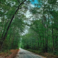 1+AC Dunham Massie LN, Gloucester, VA 23061
