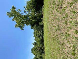 929 HOPKINS Street, Augusta, GA 30901
