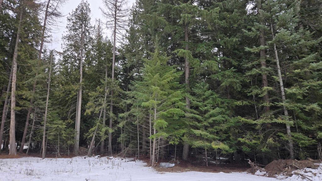 10401 N LeClerc Rd, Cusick, WA 99119 photo 12