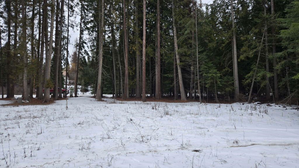 10401 N LeClerc Rd, Cusick, WA 99119 photo 13