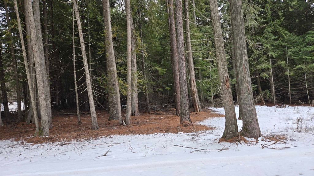 10401 N LeClerc Rd, Cusick, WA 99119 photo 6