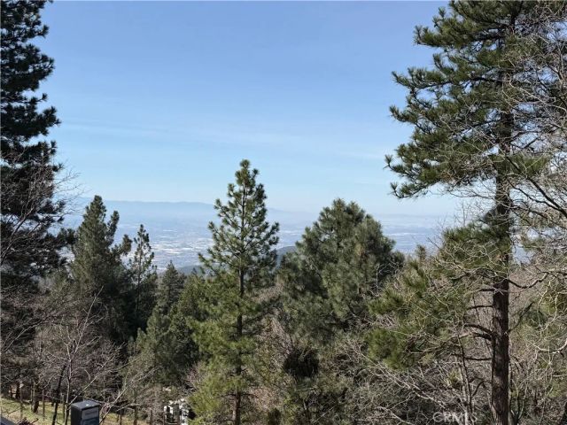 30445 Live Oak, Running Springs, CA 92382