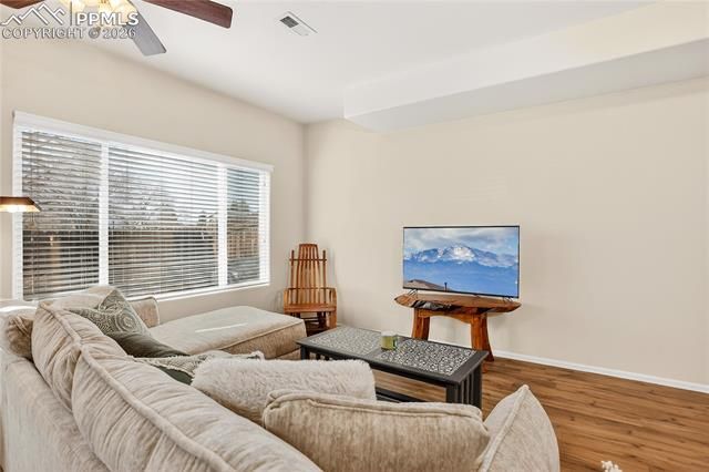 806 Red Thistle View, Colorado Springs, CO 80916