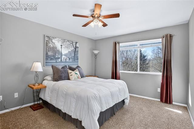 806 Red Thistle View, Colorado Springs, CO 80916