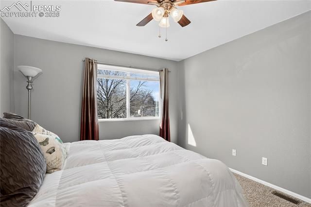 806 Red Thistle View, Colorado Springs, CO 80916