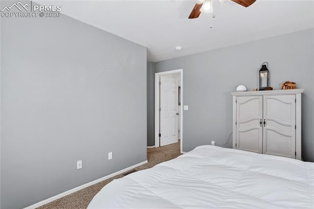 806 Red Thistle View, Colorado Springs, CO 80916