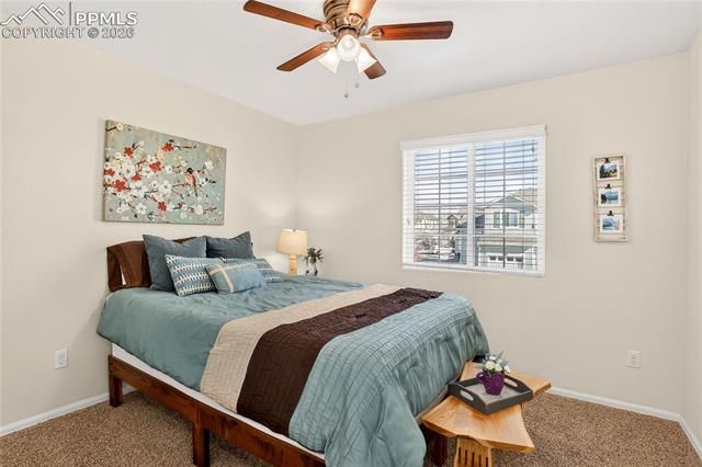 806 Red Thistle View, Colorado Springs, CO 80916