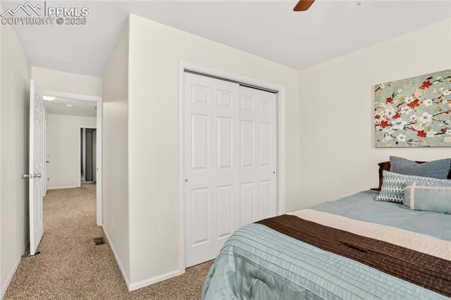 806 Red Thistle View, Colorado Springs, CO 80916
