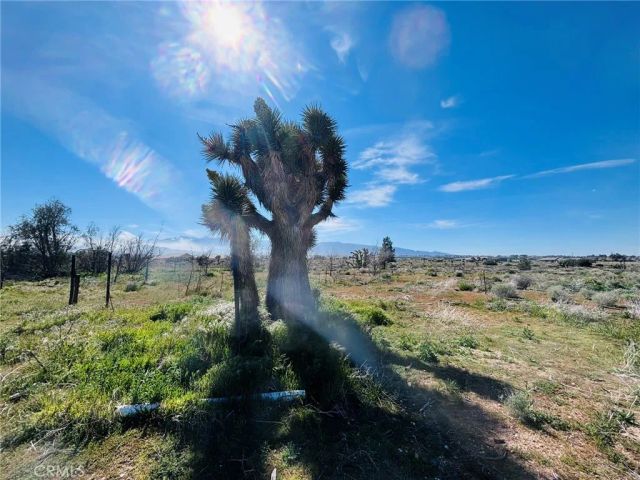 10024 Anderson Ranch, Phelan, CA 92371