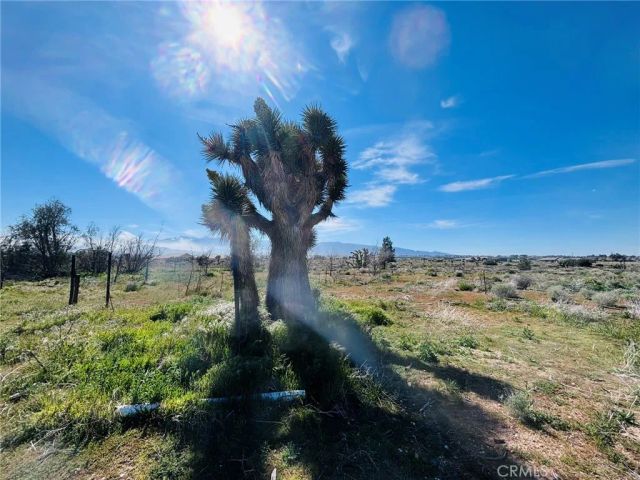 10024 Anderson Ranch, Phelan, CA 92371