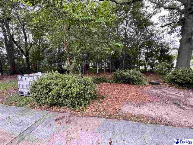 700 S 3rd Avenue, Dillon, SC 29536