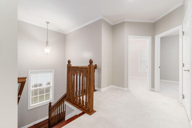 7043 Cunningham Drive, New Albany, OH 43054