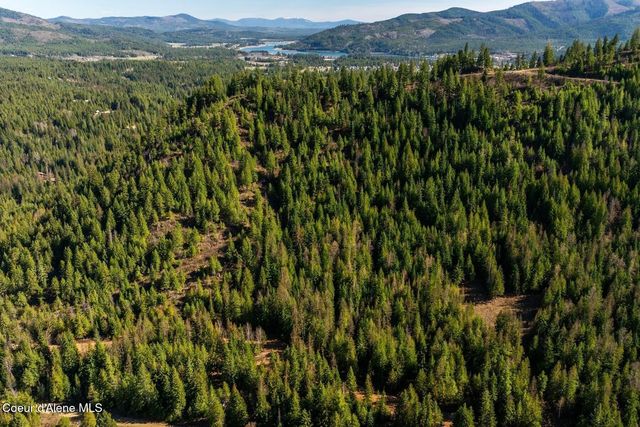 Lots 1, 2, 3 & 4 Cedar Acres, Priest River, ID 83856