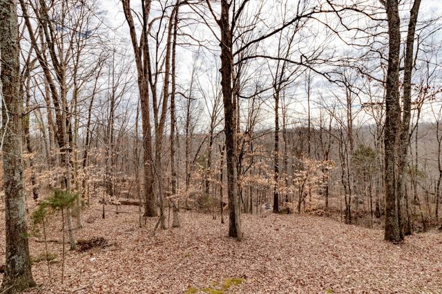 461 Martha Ln Apt B, Clarksville, TN 37043
