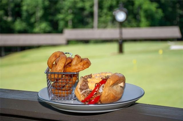 295 Starcross Lane, Jasper, GA 30143