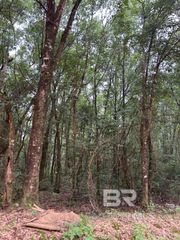 0 Railroad Street, Atmore, AL 36502
